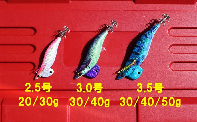 「新・最強伝説誕生！」新製品エギ『アオリクスTR』デビュー戦でアオリイカ乱舞【福井】