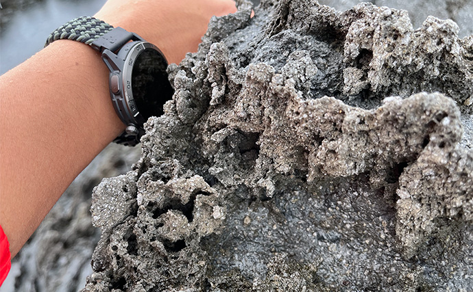 「スマートウォッチの有無で釣果が決まる？」 伊豆大島を１周して磯釣りポイントを探索してみた