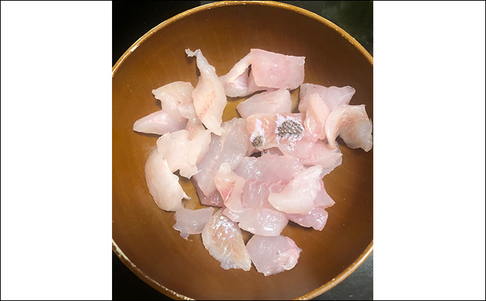 「釣ったサバを釣りエサにしよう！」加工方法から保存の仕方までを解説