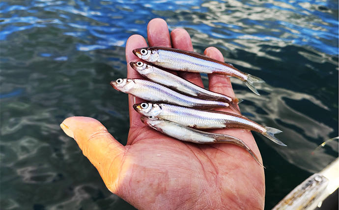 「深場が狙い目！」芦ノ湖ワカサギ釣りガイド【神奈川】温泉＆グルメも楽しめる人気フィールド