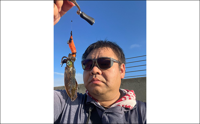 「魚が見えるから昼でも釣れる！」偏光サングラス『Gillsee』で難しいデイアジングを攻略【兵庫・淡路島】