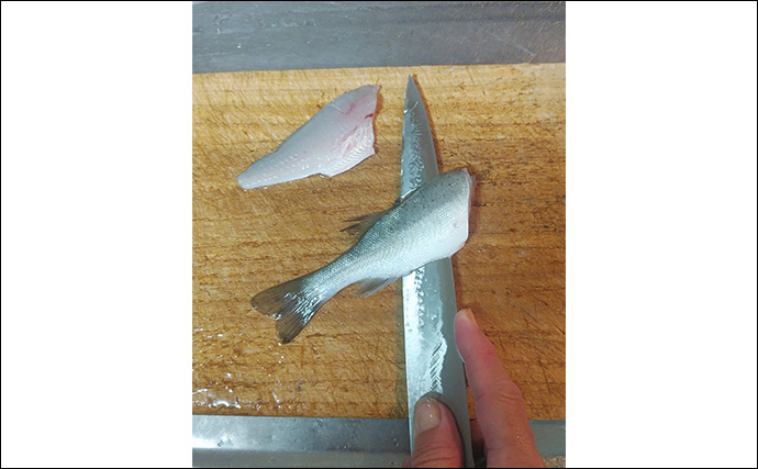 人気釣魚で作る「刺身アレンジ」レシピ：セイゴの柚子ゴショウ和え　小型がオススメ