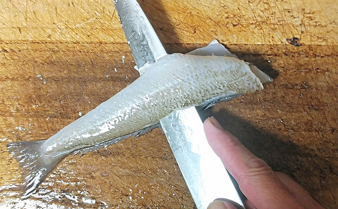 釣ったキスで作る「アレンジ」レシピ：キスわさ　霜降りがカギ