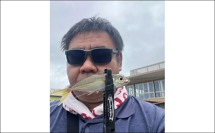 「魚が見えるから昼でも釣れる！」偏光サングラス『Gillsee』で難しいデイアジングを攻略【兵庫・淡路島】