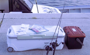 「釣っただけの魚は美味しくない？」 船長に聞く【魚の絞め方・冷やし方・…