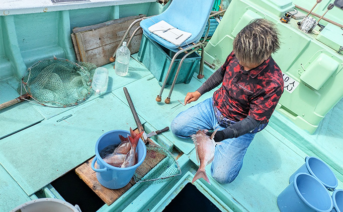 ビニール片でマダイにブリが釣れた！【和歌山・加太】伝統釣法「高仕掛け」は不思議な釣り？