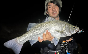 浜名湖でルアー釣りを楽しむなら「ライトゲームタックル」が圧倒的にオスス…