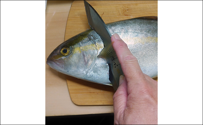 釣魚で作る「秋の味覚」レシピ：ネリゴのホイル焼き　キノコとバターで食欲全開