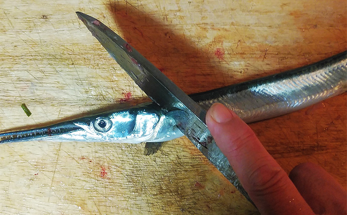 釣った魚で作る「ご飯のおかず」レシピ：小ダツの薄塩　軽く干して旨み凝縮