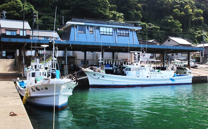 「魚が見えるから昼でも釣れる！」偏光サングラス『Gillsee』で難しいデイアジングを攻略【兵庫・淡路島】