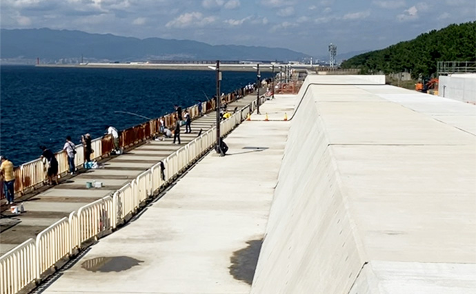 『大阪南港魚つり園』で連日サゴシ好調！ ハマチも到来でいよいよ秋爆スタートか？