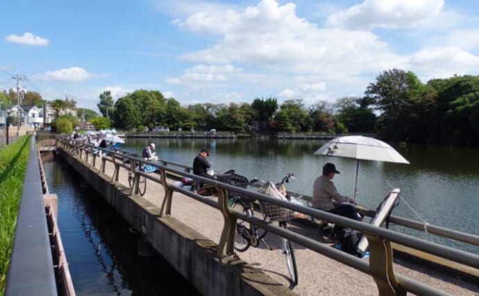 今週のヘラブナ推薦釣り場2025【東京＆埼玉・水元小合内溜】