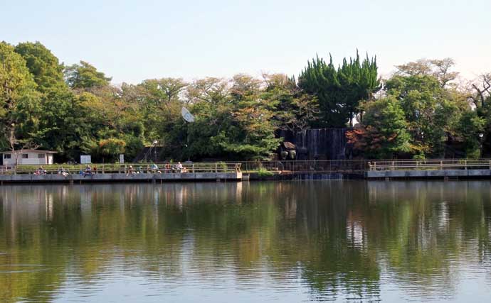 今週のヘラブナ推薦釣り場2025【東京＆埼玉・水元小合内溜】