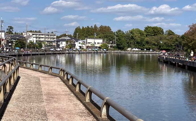 今週のヘラブナ推薦釣り場2025【東京＆埼玉・水元小合内溜】