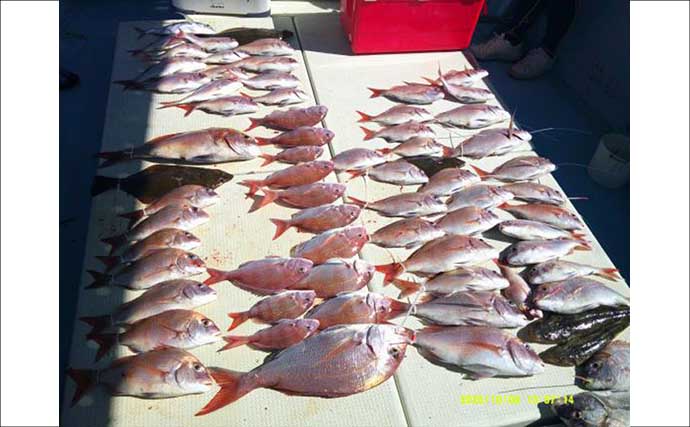 【沖釣り釣果速報】島原沖のマダイ船で最大3kgを筆頭に連発！ヒラメも混じり船中大盛況（大分・熊本）