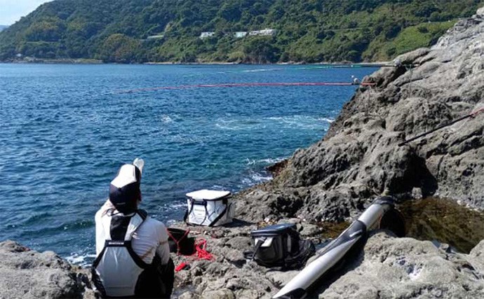 「50cm超クチジロ級も登場！」地磯の石物釣りでイシガキダイ連発【静岡】半割ウニ＆エビ作戦が奏功