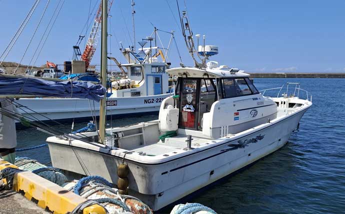 ひとつテンヤ釣りで40cm超え良型キジハタをキャッチ【新潟・千代丸】落とし方にコツあり