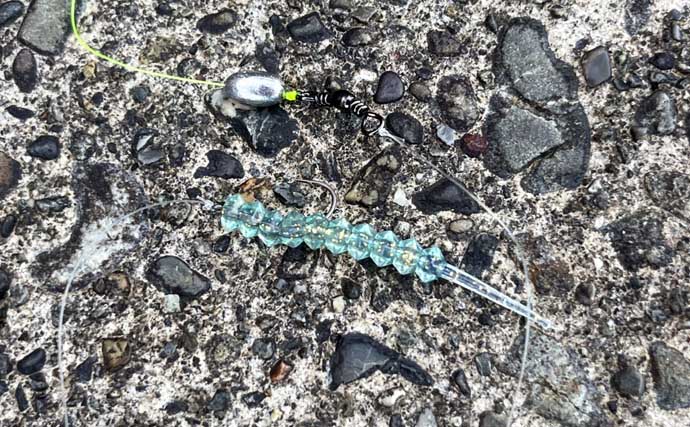 「だって知らなかったんだもん！」ダイソースプーンで高級魚クエを釣りあげる【静岡・表鷲津湖岸公園】