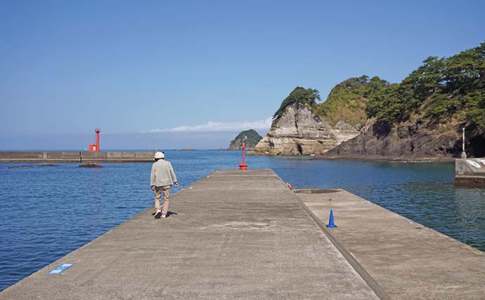 家族4人で楽しむ仁科漁港のサビキ釣り旅行【静岡】小メジナやベラが次々ヒット！