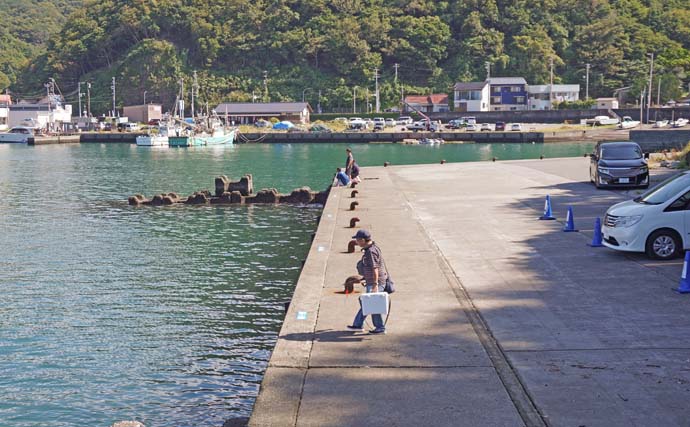 家族4人で楽しむ仁科漁港のサビキ釣り旅行【静岡】小メジナやベラが次々ヒット！