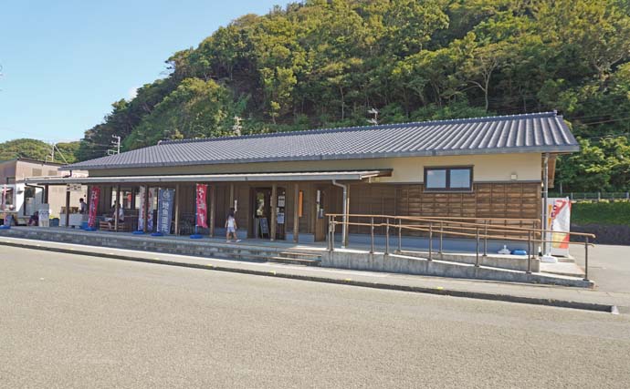 家族4人で楽しむ仁科漁港のサビキ釣り旅行【静岡】小メジナやベラが次々ヒット！