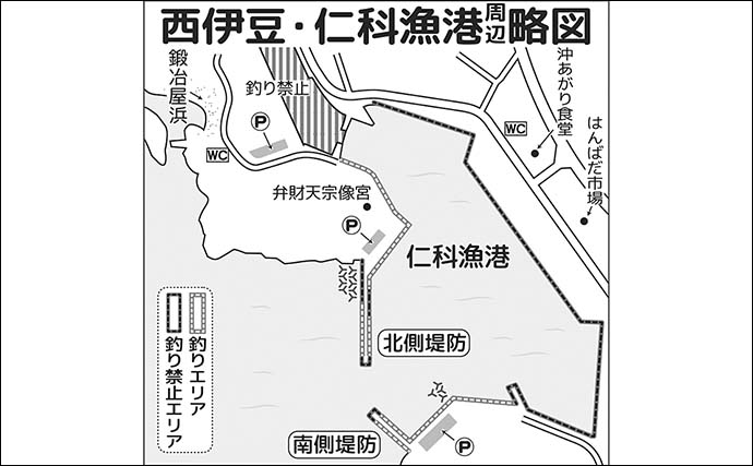 家族4人で楽しむ仁科漁港のサビキ釣り旅行【静岡】小メジナやベラが次々ヒット！