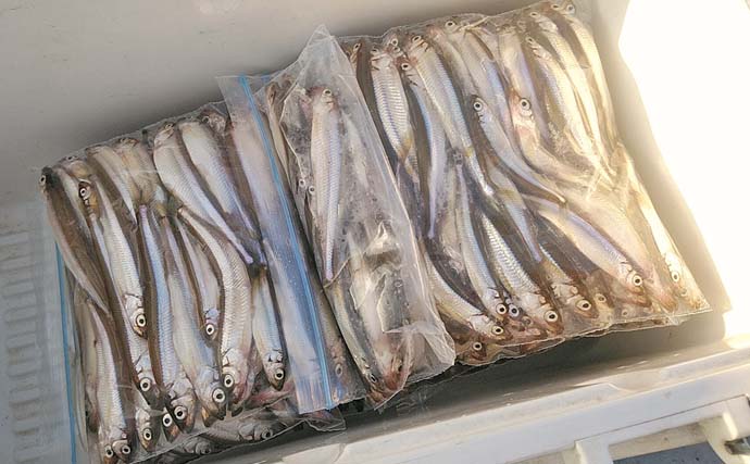 「デカサギ連発！」西湖ワカサギ釣りガイド【山梨】良型が狙える富士五湖屈指の人気スポット