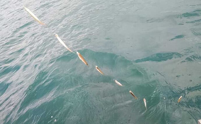 「秋の木崎湖でワカサギ釣りを満喫！」最大11cm頭に573尾キャッチ【長野】