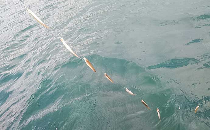 「秋の木崎湖でワカサギ釣りを満喫！」最大11cm頭に573尾キャッチ【長野】