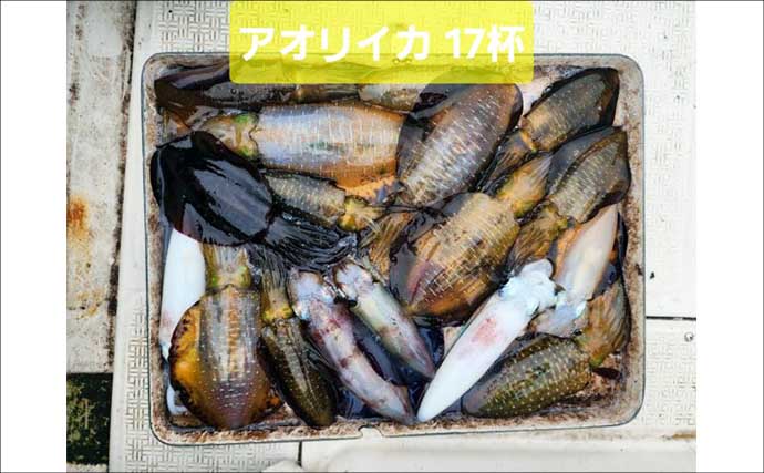 【沖釣りルアー釣果速報】ジギング便でメーターオーバー11kg超オオニベを手中！（愛知・三重）