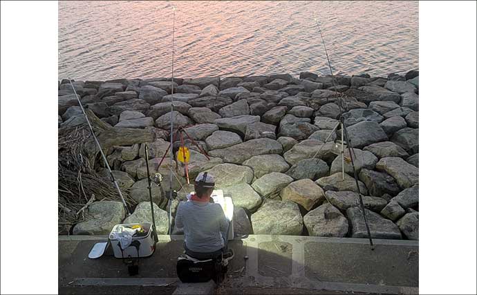 宮川の投げ釣りで良型ウナギ4匹キャッチ！【三重】潮の変化と仕掛け工夫が奏功