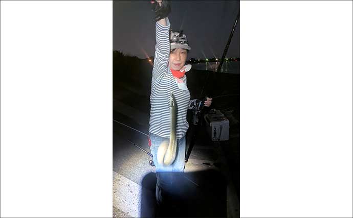 宮川の投げ釣りで良型ウナギ4匹キャッチ！【三重】潮の変化と仕掛け工夫が奏功