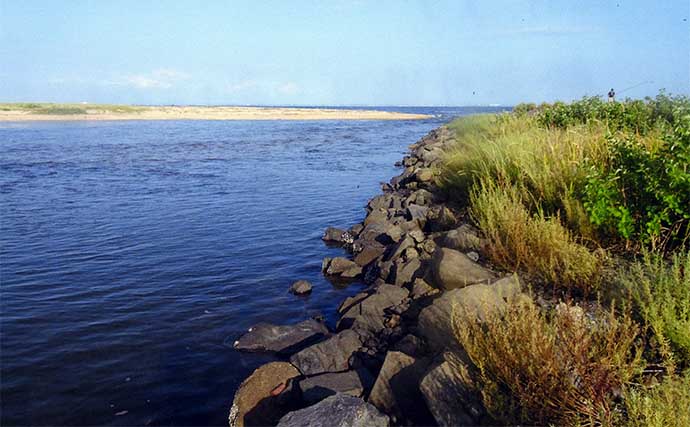 鈴鹿川河口のチョイ投げ釣りでハゼ36匹手中【三重・四日市】コトヒキ＆セイゴも交じり3目達成