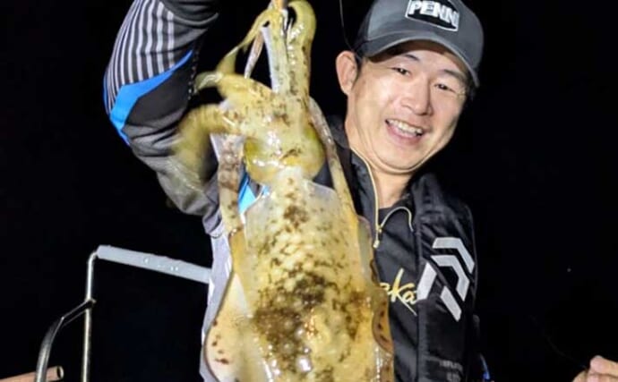 【沖釣り釣果速報】ティップランエギングで釣る人48匹！良型アオリイカが連続ヒット（北陸）
