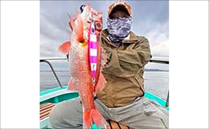 【沖釣り釣果速報】ティップランエギングで釣る人48匹！良型アオリイカが連続ヒット（北陸）