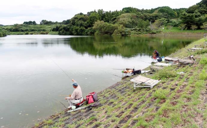 今週のヘラブナ推薦釣り場2025【静岡・七曲の池】