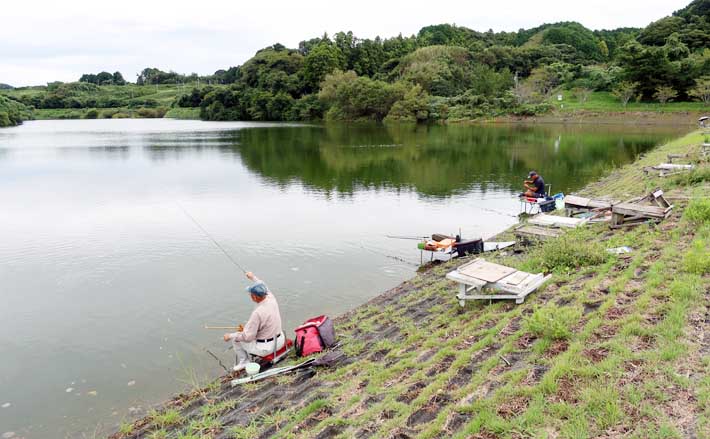 今週のヘラブナ推薦釣り場2025【静岡・七曲の池】 | TSURINEWS
