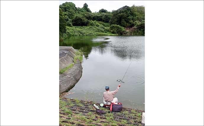 今週のヘラブナ推薦釣り場2025【静岡・七曲の池】