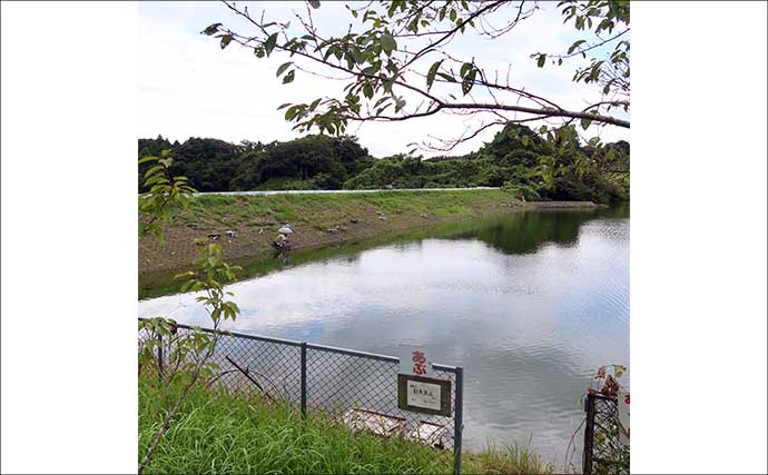 今週のヘラブナ推薦釣り場2025【静岡・七曲の池】