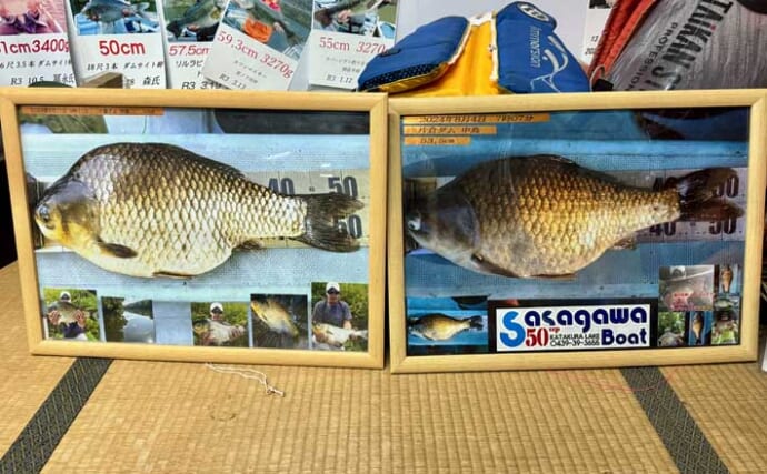 吉田康雄のザ・チャレンジへらぶな【完デコのリベンジin片倉ダム#1】