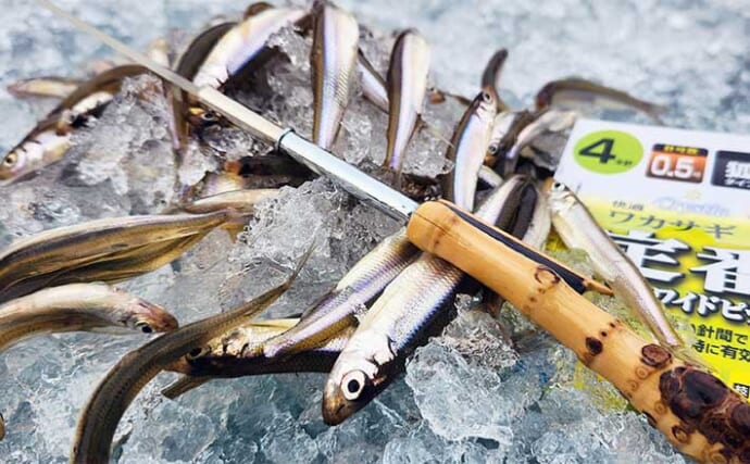 「はじめてでも数が釣れる！」ドーム船で始めるワカサギ釣り入門【道具・仕掛け・誘い方を完全ガイド】