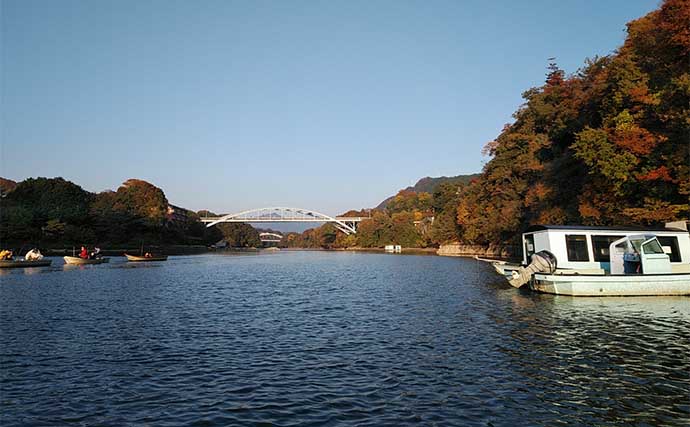 「浅ダナに良型連発！」相模湖ワカサギ釣りガイド【神奈川】アクセス良好＆家族連れにも最適