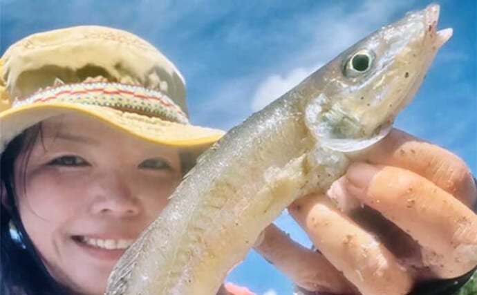 維和島の投げ釣りで25cm級デカキスをキャッチ【熊本】根掛かり覚悟のズル引き誘いが奏功