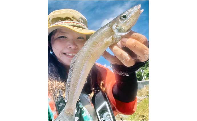 維和島の投げ釣りで25cm級デカキスをキャッチ【熊本】根掛かり覚悟のズル引き誘いが奏功