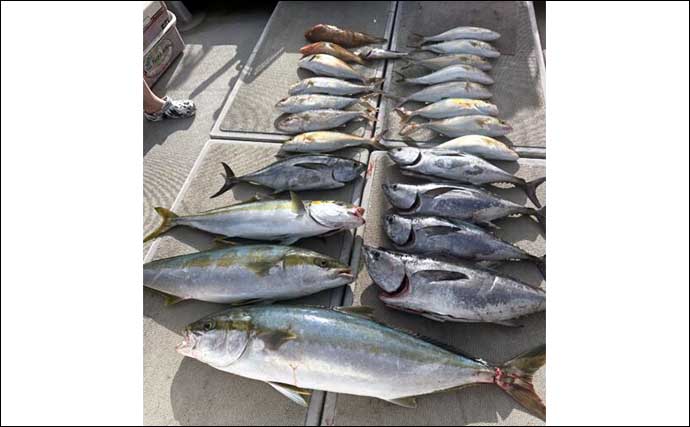 【沖釣り釣果速報】落とし込み釣りでヒラマサ107cm浮上！エサ付き抜群で青物ラッシュ！（福岡）