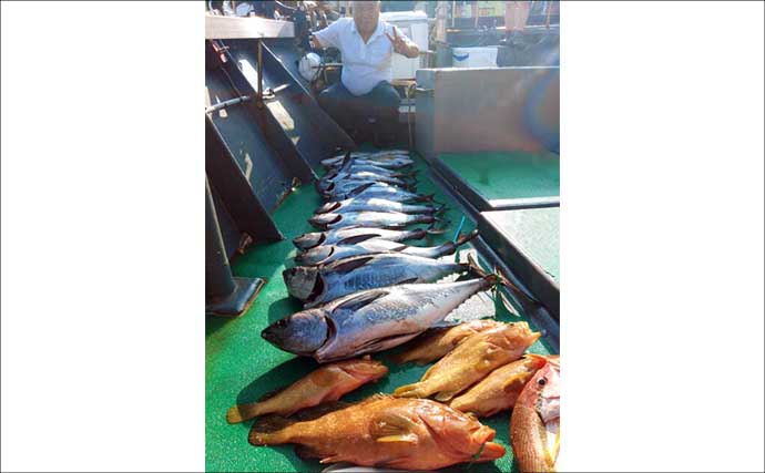 【沖釣り釣果速報】落とし込み釣りで106cmヒラマサ浮上！多彩な魚種がヒット（福岡）