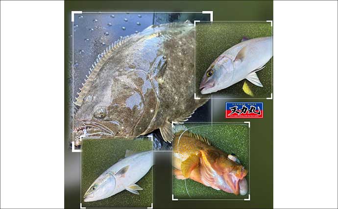 【沖釣り釣果速報】落とし込み釣りで106cmヒラマサ浮上！多彩な魚種がヒット（福岡）