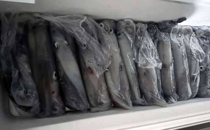 【沖釣り釣果速報】泳がせ釣りで良型マダイ浮上！タチウオ便は指5本級も混じり好調（福岡）