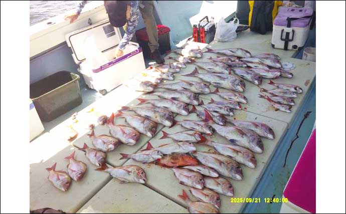 【沖釣り釣果速報】ズラ〜ッとマダイが勢揃い！マダイ便で良型含む数釣りに成功（大分・熊本）