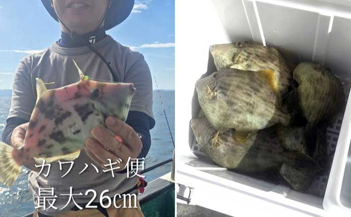 関西エリアの【船釣り特選釣果】ディープタイラバで大ダイ72cm！ティップランではアオリイカ連発